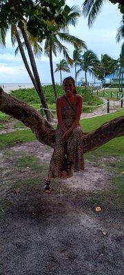 Photo of Peri S.