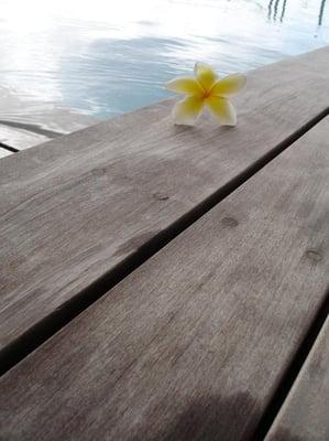 Photo of BoraBora T.
