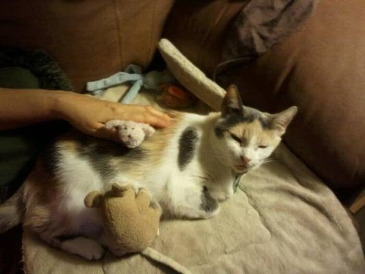 Photo of Elizabeth H.