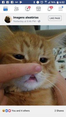 photo of Esmeralda L.