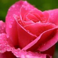 photo of Jennifer G.