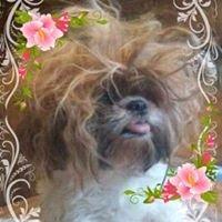 photo of Kimberley M.