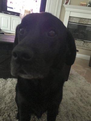 photo of Jennifer C.