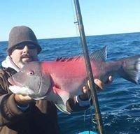 photo of Shawn A. P.