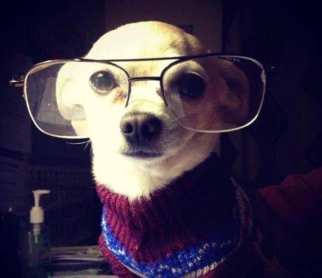 photo of Hercules M.