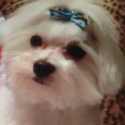 Photo of Bailey B.