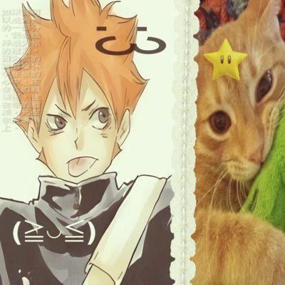 photo of MyLostGamingz