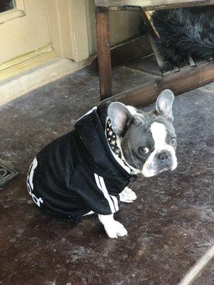 photo of Caterina F.