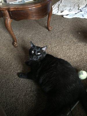 photo of Charlene C.