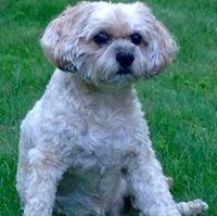 photo of Rosemary C.