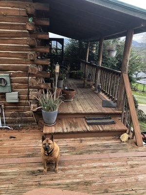 photo of Ruth Ann A.