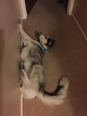 photo of Brittney B.