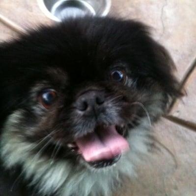 Photo of Miss P.