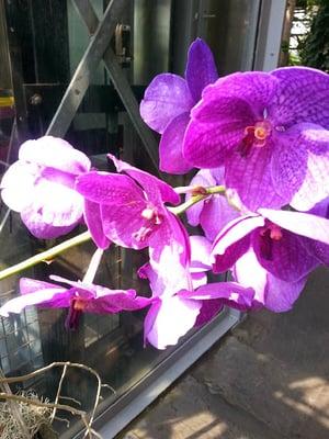 photo of Friendly F.