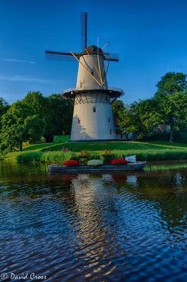 Photo of Elizabeth N.