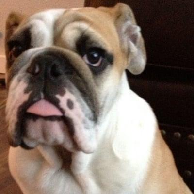 photo of Kristine M.