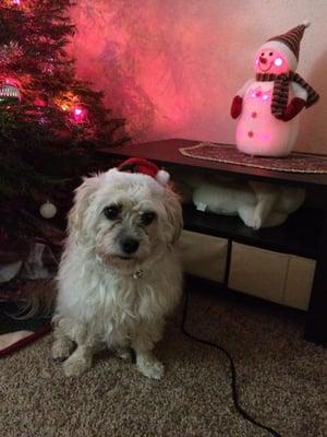 photo of Niloufar I.