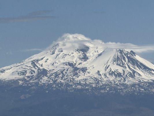 Photo of morgan d.