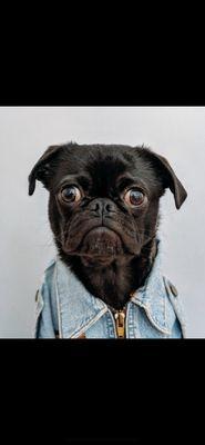 photo of Unhappyorhappy C.