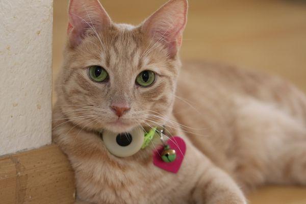 Photo of kathy t.