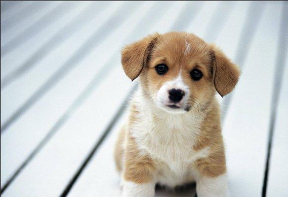 photo of Anonymity S.