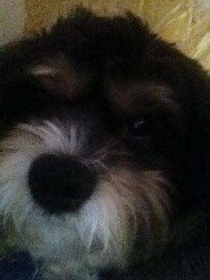 Photo of Bubbs M.