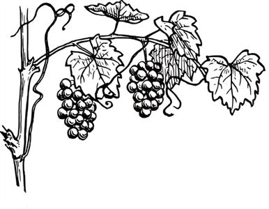 photo of Dionysia's Massage S.