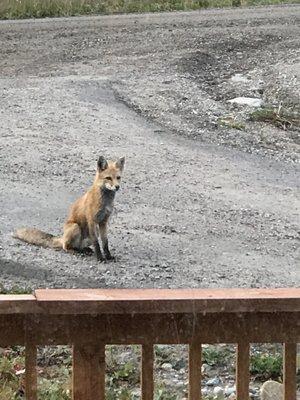 photo of Samantha M.