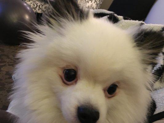 Photo of Misha A.