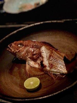 photo of Nomadicus ..