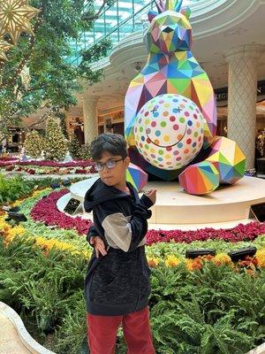 Photo of Ayan L.