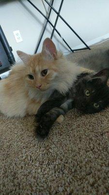 photo of Katherine G.