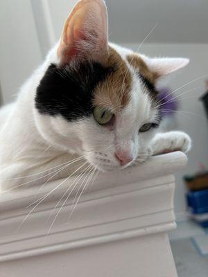 Photo of Oleda K.