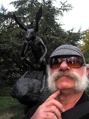 Photo of Mark M.
