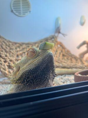 photo of Victoria M.