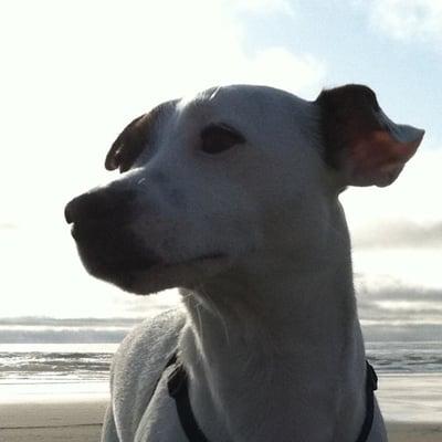 photo of Stephanie H.