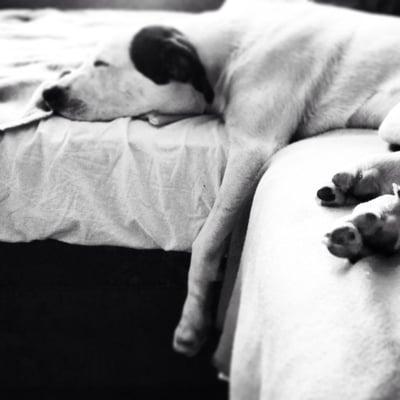 photo of Caroline T.