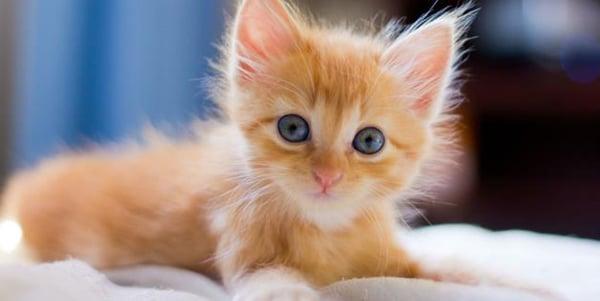 photo of Danielle E.