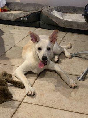 photo of Jennifer H.