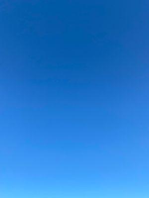 Photo of X P.