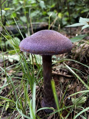 photo of Jonathan L.