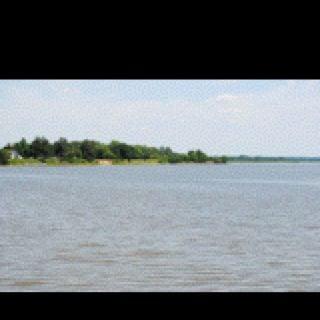 photo of Stephanie T.