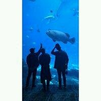 Photo of Benjamin R.