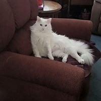 Photo of Debbie G.
