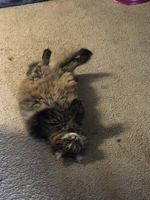 photo of Michelle W.