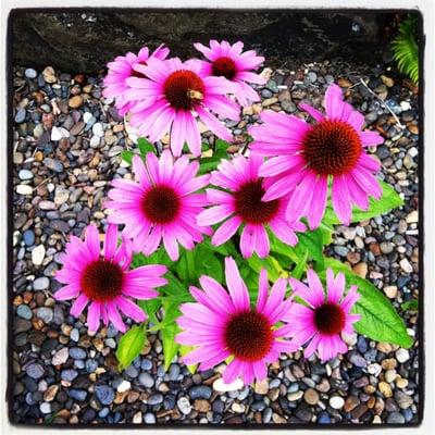 photo of Elizabeth K.