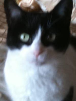 Photo of Denise C.