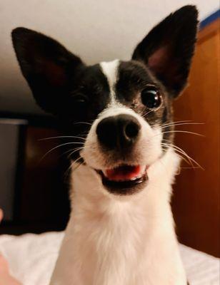 photo of PDXStevie S.