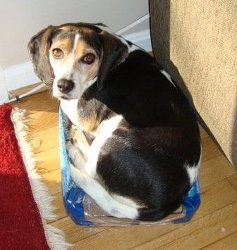 Photo of Courtney B.