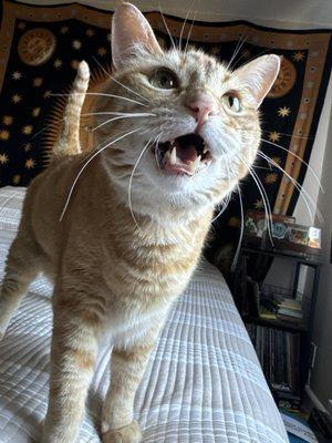 photo of Remington W.